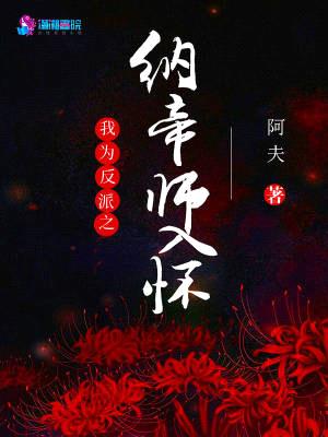 我为反派之纳帝师入怀封面