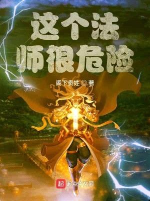 这个法师很危险封面