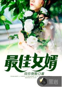 最佳女婿（最佳赘婿（林羽江颜））封面